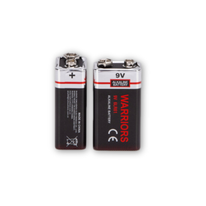 9V Alkaline Batteries — 12‑Pack