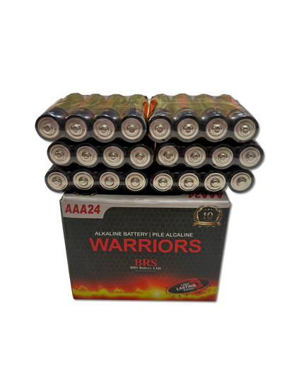 AAA Alkaline Batteries — 24‑Pack