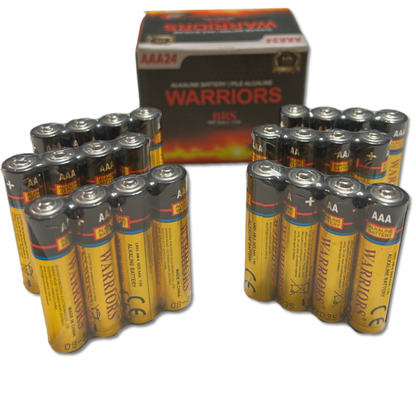 AAA Alkaline Batteries — 24‑Pack