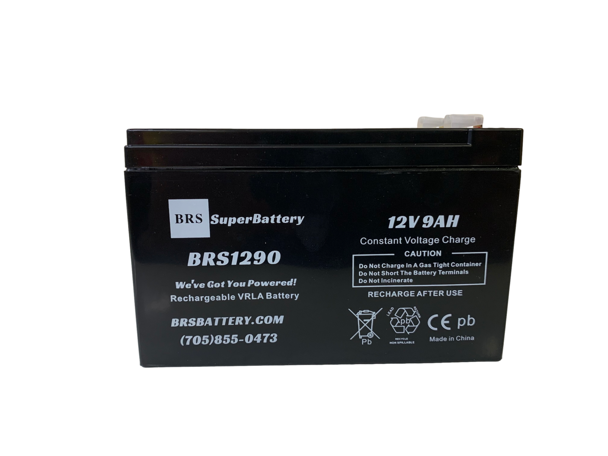 BRS1290-T2-12v-9ah battery