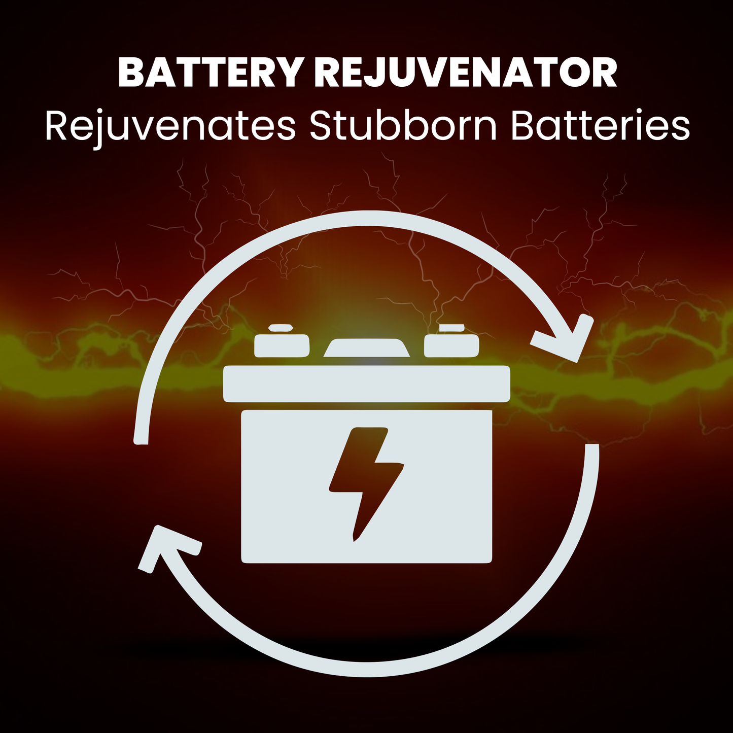 BRS Super Charger BRS612 - 6V/12V Fully Automatic Smart Charger Battery Maintainer & Rejuvenator - BRS Super Battery