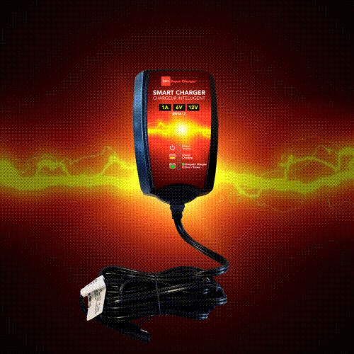 BRS Super Charger BRS612 - 6V/12V Fully Automatic Smart Charger Battery Maintainer & Rejuvenator - BRS Super Battery