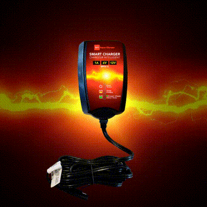 BRS Super Charger BRS612 - 6V/12V Fully Automatic Smart Charger Battery Maintainer & Rejuvenator - BRS Super Battery