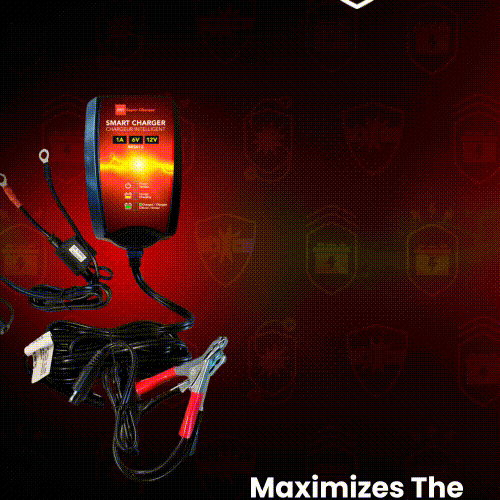 BRS Super Charger BRS612 - 6V/12V Fully Automatic Smart Charger Battery Maintainer & Rejuvenator - BRS Super Battery