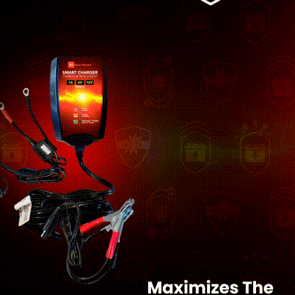 BRS Super Charger BRS612 - 6V/12V Fully Automatic Smart Charger Battery Maintainer & Rejuvenator - BRS Super Battery